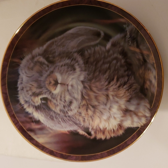 Bunny Tales plate from The Bradford Exchange.
